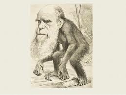 TERCER MOVIMIENTO EL ORIGEN DE LAS ESPECIES