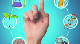 Timeline: Acontecimientos, Antecedentes de la Bioética