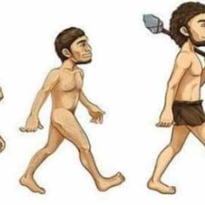 Timeline: Orígenes de la administración y teorías de la administración