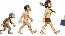 Timeline: Orígenes de la administración y teorías de la administración