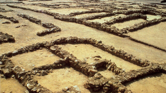 Apogeo socio-cultural