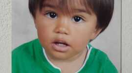 Timeline: As Descobertas