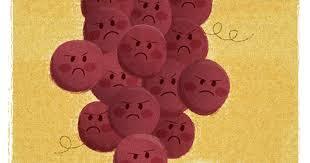 Raïm de setembre, saborosos grans amb poesia