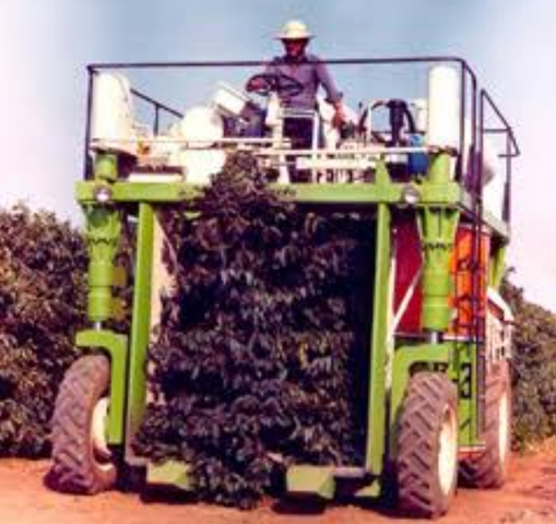 Primeira colheitadeira de café feita pelo Shunji Nishimura
