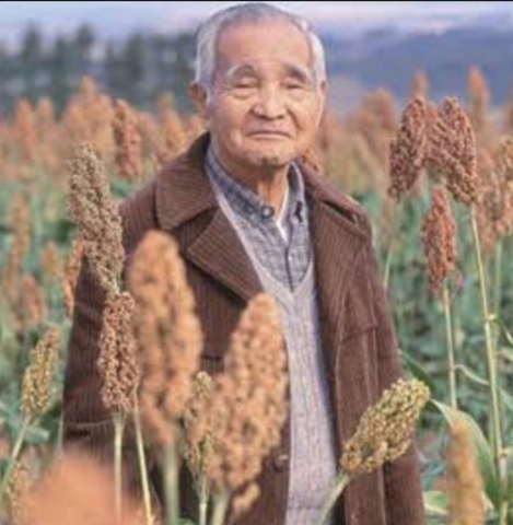 Fonte iconográfica Shunji Nishimura