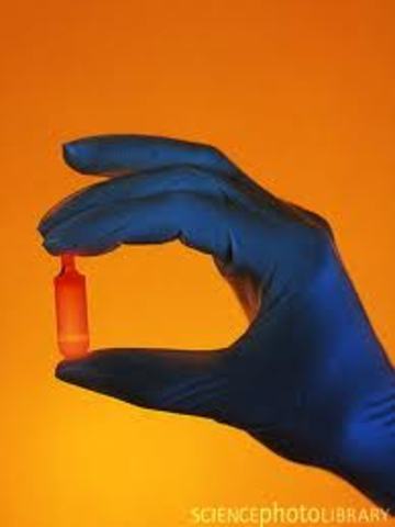 DNA plasmids were isolated and purified