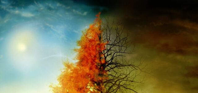 primer día de la creación