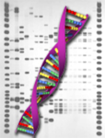 Botstein idnetified patteren in DNA