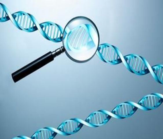 DNA profiling