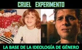 Suicidio de Brian Reimer