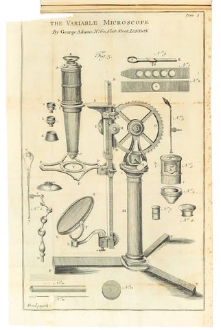 Micrographia Illustrata