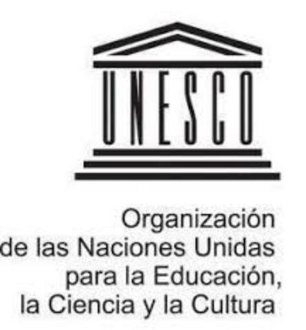 El dominio de la Educación Especial es definida por la UNESCO