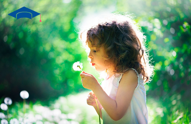 Natural Intelligence: The Natural Intelligence