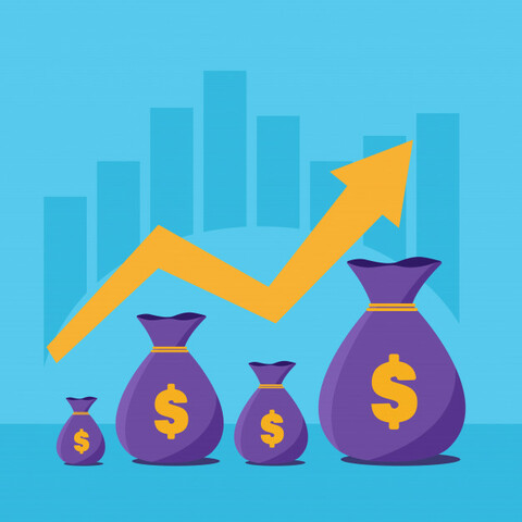 Ingreso del trabajo de las mujeres.