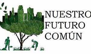 Nuestro Futuro Común