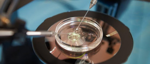 Formación del Comité Institucional de revisión