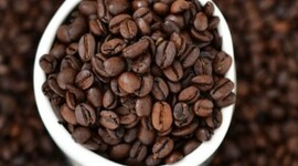 Timeline: historia del café