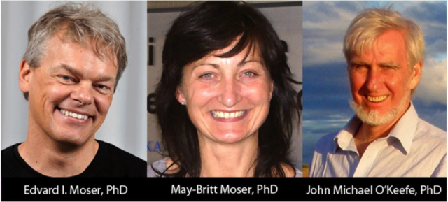 (2014) John O'Keefe, Edvard Moser y May-Britt Moser