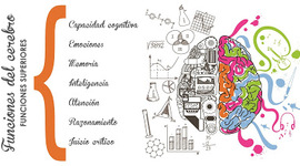 Timeline: neurociencias de la conducta
