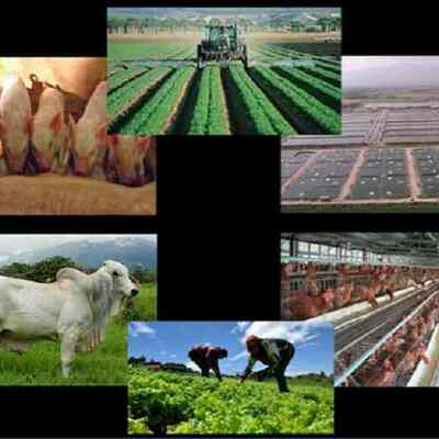 Timeline: Espacio Agrario en Venezuela Katherine Carmona 5to B