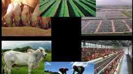 Timeline: Espacio Agrario en Venezuela Katherine Carmona 5to B