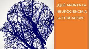 Actualmente,  Neurociencias y psicología educativa