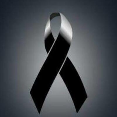 Timeline: Tipos De Software Educativo