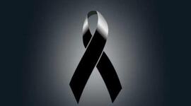 Timeline: Tipos De Software Educativo