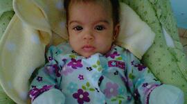 Timeline: NIRE BIZITZA