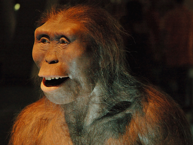 El homínido más antiguo, hallado.