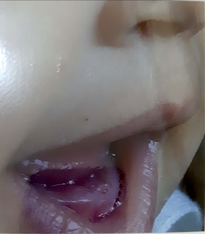 NIRE LEHENENGO ORTZA