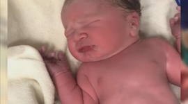 Timeline: El recorrido de mi vida