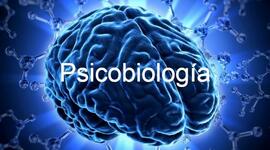 Timeline: Historia de la psicobiología