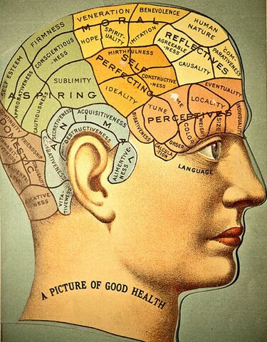 Introducción del concepto localización cerebral por Franz Josef Gall