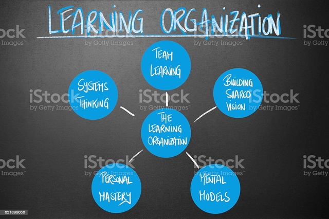 Learning organization