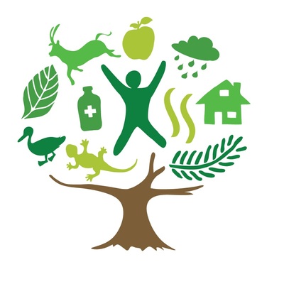 Timeline: Antecedentes de las estrategias  en educación ambiental