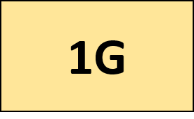 1G