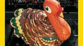 Timeline: Fall Holidays and Celebrations