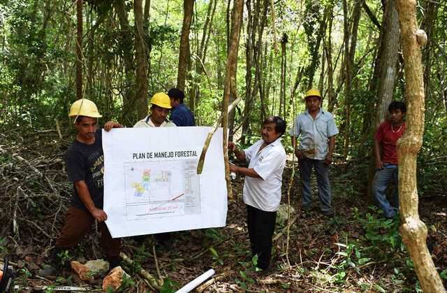 Participación de Sociedad en la Creación de Nuevas ANP