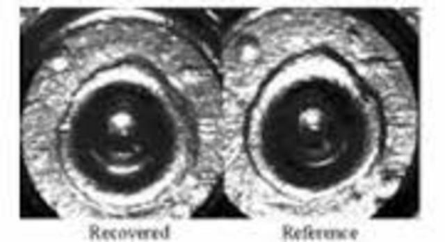 The first bullet comparison to catch murder and toxicology which is the examination of blood and tissue