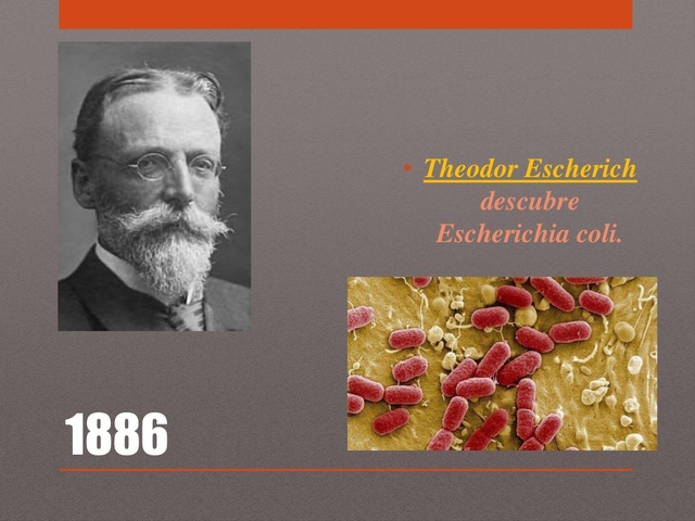 Escherich descubre Escherichia coli