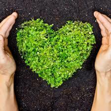 Ley de Conservación de Suelos y Agua.