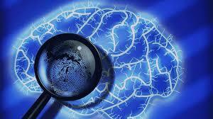 Iniciador sistémico de la Psicología Forense