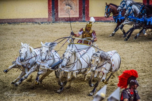 les courses de chars.