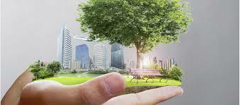 Evolución   De   La   Educación   Ambiental   Desde   El   Carácter Normativo Internacional.