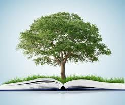 El Desarrollo Normativo En Colombia.