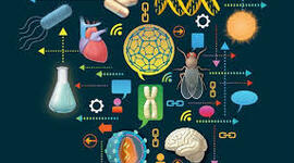 Timeline: Aspecto Históricos De La Evolución De La ciencia