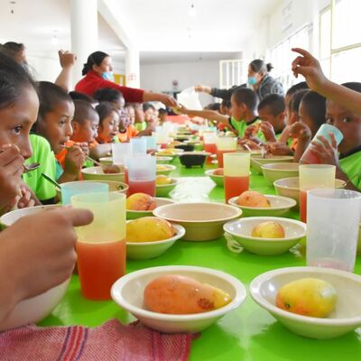 Timeline: Programa de Alimentación. Serie organizada de actividades, encaminadas a la consecución de objetivos y metas orientadas a proporcionar a la población beneficiaria una alimentación que permita satisfacer parcial o totalmente sus necesidades.