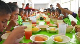 Timeline: Programa de Alimentación. Serie organizada de actividades, encaminadas a la consecución de objetivos y metas orientadas a proporcionar a la población beneficiaria una alimentación que permita satisfacer parcial o totalmente sus necesidades.