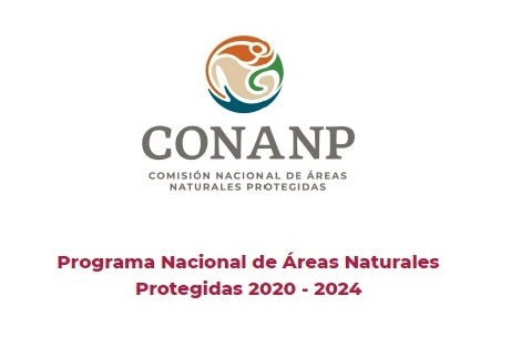 Emerge el Programa Nacional de ANP 2020-2024